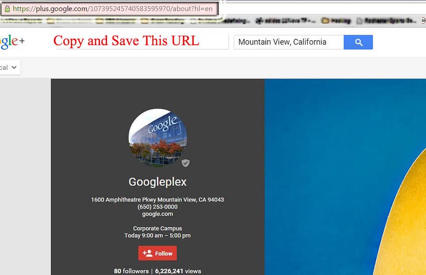 Find Google My Business Llisting URL